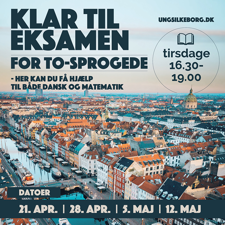 KlarTilEksamenForToSprogede_Web_Ikon_732x732